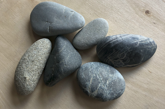 Rachel Carbary's group of six rocks on wood. She collects them to remember the dolphins slaughtered in the annual dolphin hunt in Japan.