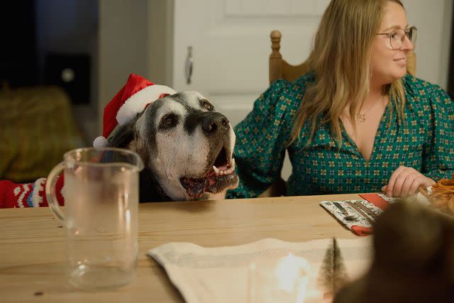 <p>Courtesy of Chewy</p> Riley the Great Dane spending time with his friends and family at his early Christmas celebration