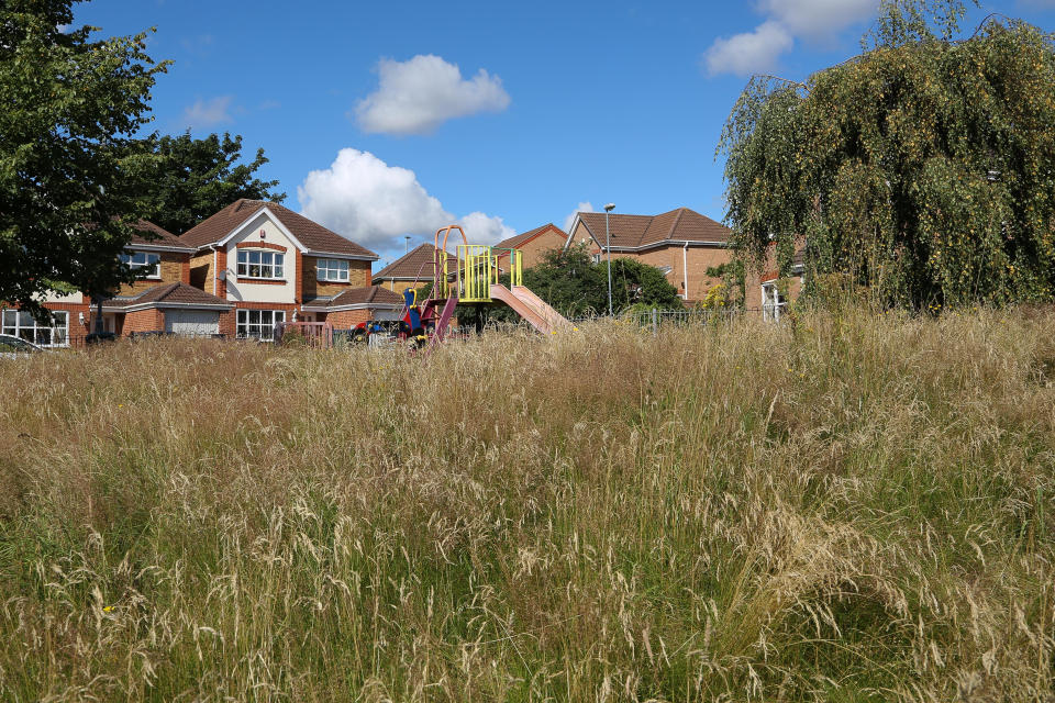 West Midlands playground has grown into a "jungle" 