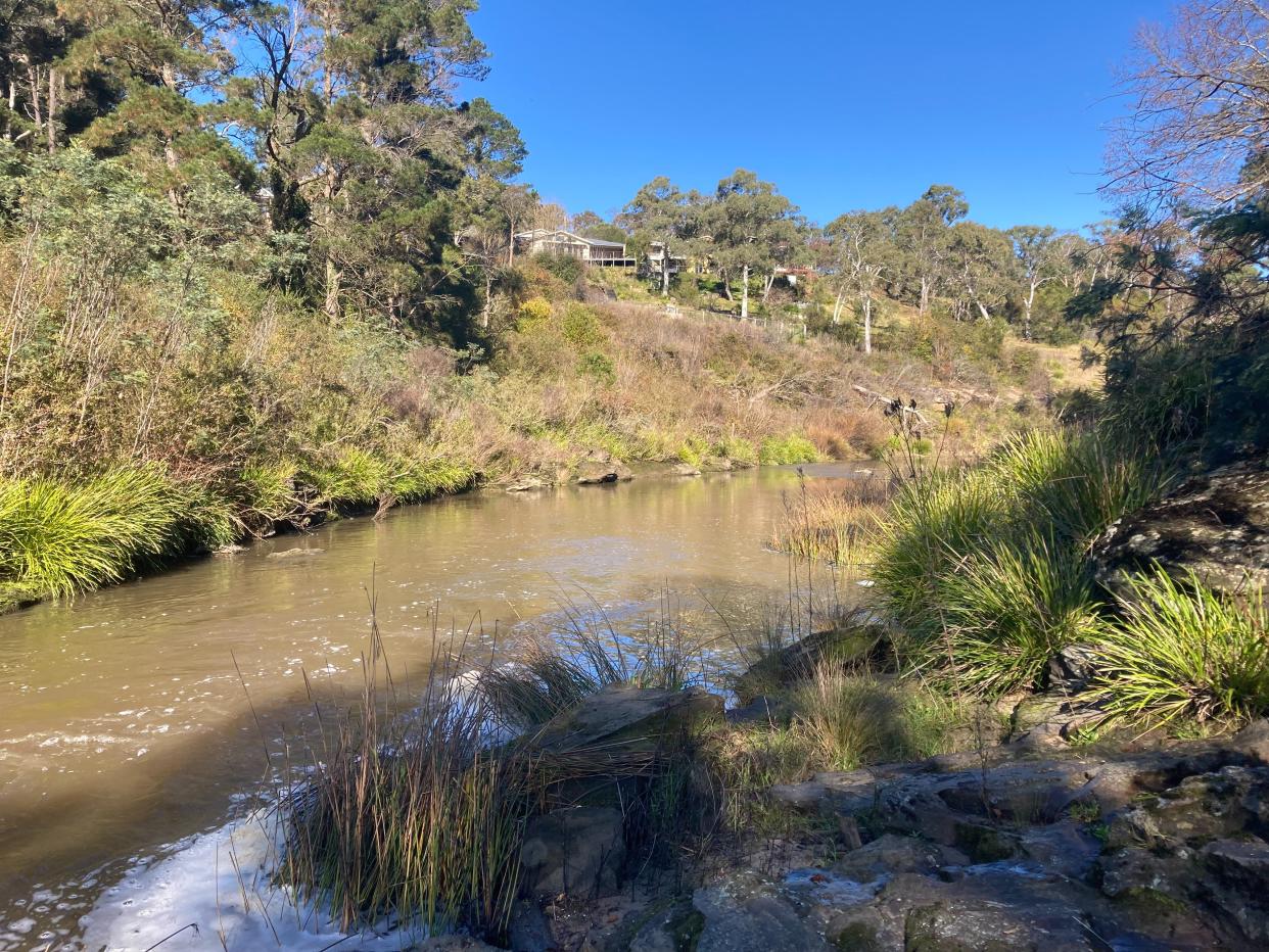 An image showing Wingecarribee River last week. Houses can be seen on the bank above it.