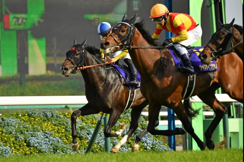 Justin Milano wins Sunday's Group 1 Satsuki Sho or Japanese 2,000 Guineas and looks ready to move on to the Japanese Derby. Photo by and courtesy of Katsumi Saito