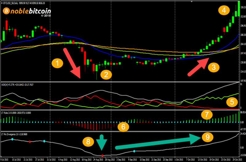 Bitcoin Daily