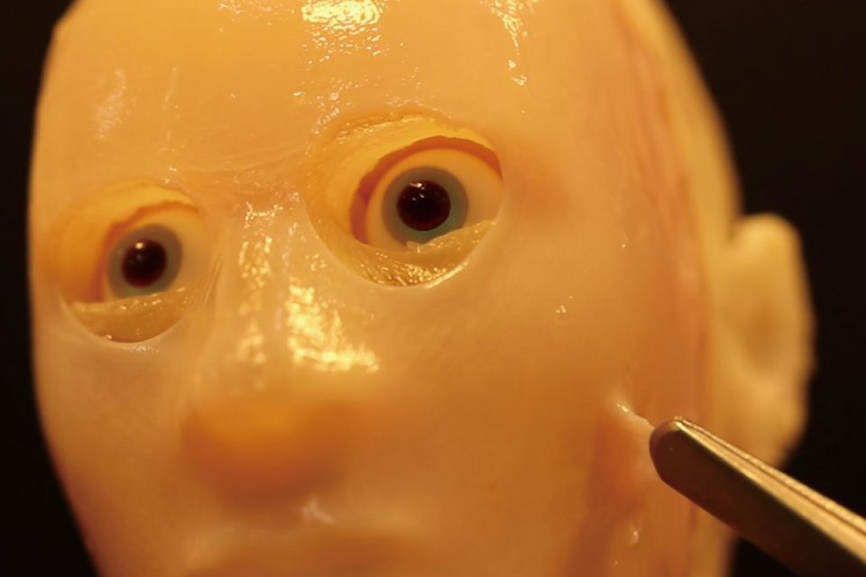 A 3D facial mould covered with living human skin (Takeuchi et al.)