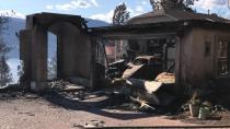 8 homes destroyed in wildfire in B.C.'s Lake Country