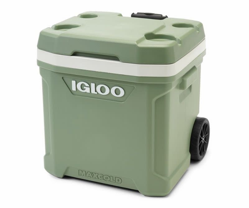 Igloo EcoCool Latitude Roller