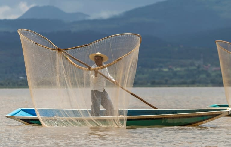 Un pescador en plena labor en el lago de Pátzcuaro, estado de Michoacán, México, el 16 de julio de 2024 (Enrique Castro)