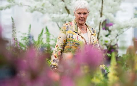 Dame Judi Dench visiting The Wedgewood Garden at the Chelsea Flower Show - Credit: &nbsp;Geoff Pugh for the telegraph