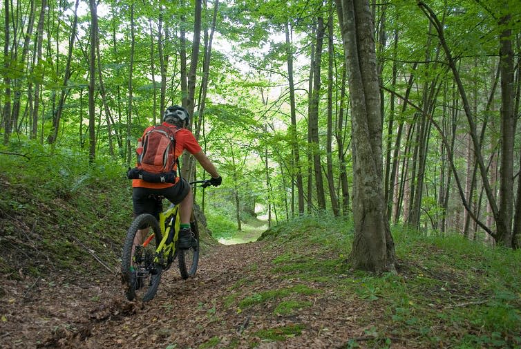 Man cycling on electric bike through woodland.