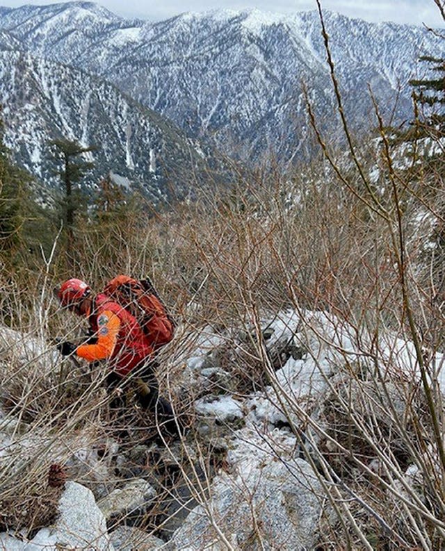 Ground searches for actor Julian Sands