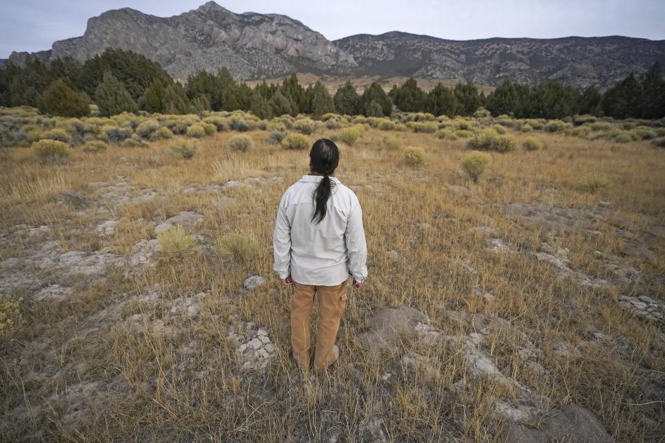 Rick Spilsbury looks in the direction of Rocky Mountain juniper trees on Nov. 11, 2023, in Bahsahwahbee, a site in eastern Nevada that is sacred to members of the Ely Shoshone, Duckwater Shoshone and the Confederated Tribes of the Goshute Reservation. Their ancestors were massacred by white people on several occasions at this site and tribal members believe their spirits live on in the trees. (AP Photo/Rick Bowmer)