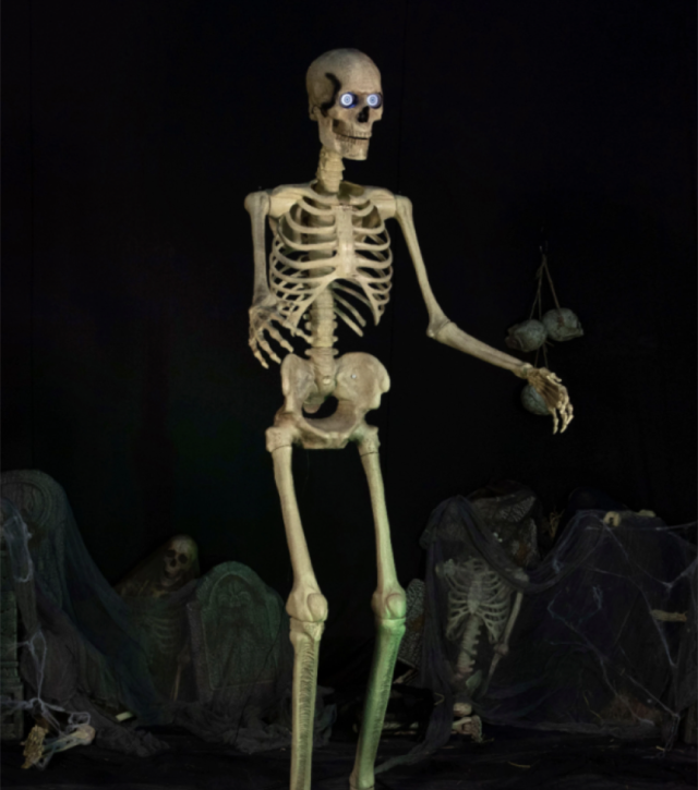 Tj Maxx Halloween Decor  TJ Maxx selling Home Depot Skeletons