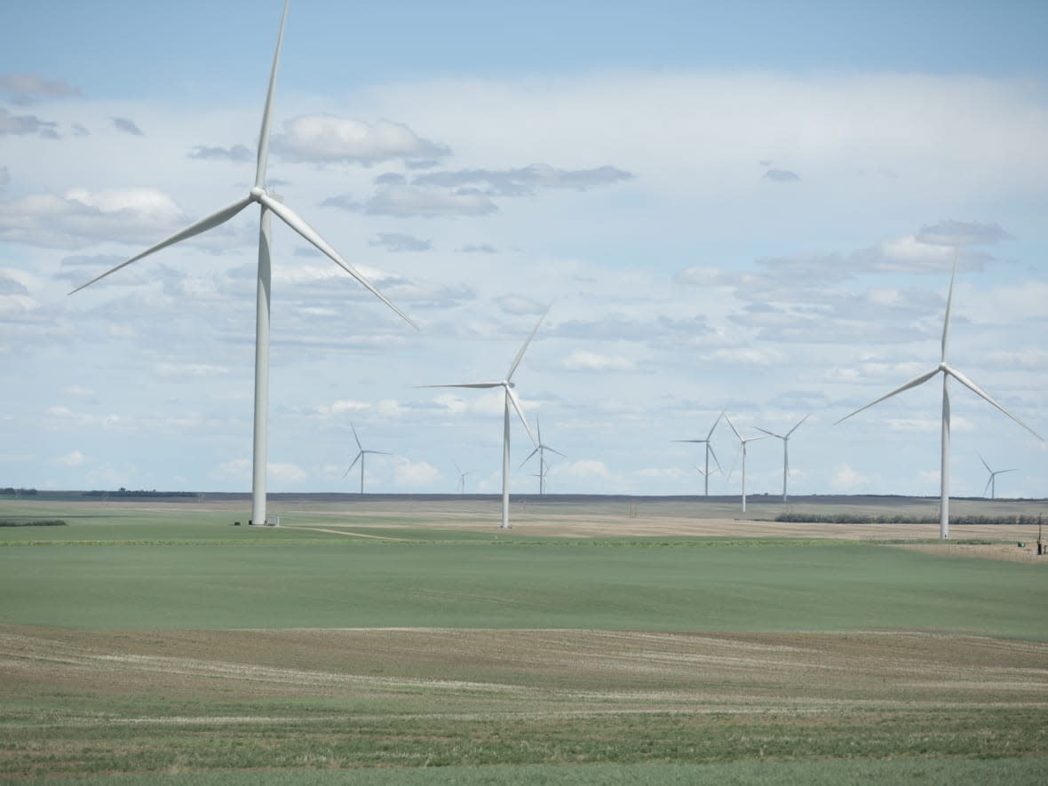 While Saskatchewan Premier Scott Moe and SaskPower president and CEO Rupen Pandya say reaching net-zero emissions by 2035 is unachievable, experts say that it would cost more in the long run to hold off on meeting the federal goal. (Matt Duguid/CBC - image credit)