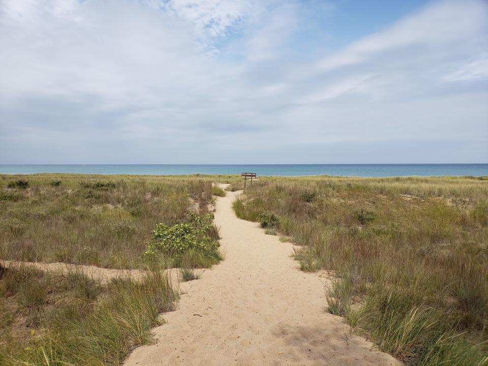 Part of the Cowles Bog Trail at Indiana Dunes National Park leads to a secluded beach.