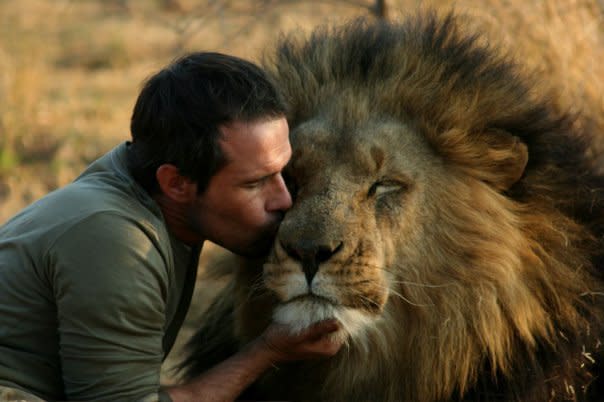 Top 56+ imagen leones conviviendo con humanos