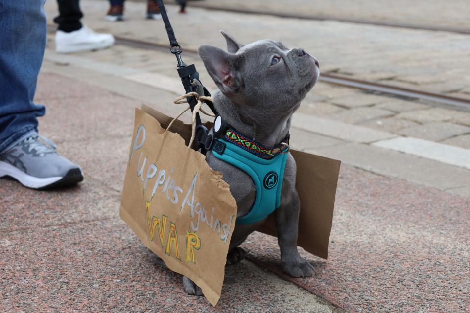 A puppy joined the protest Saturday evening. The dog wore signs reading "Puppies Against War" and "Puppies 4 Peace".