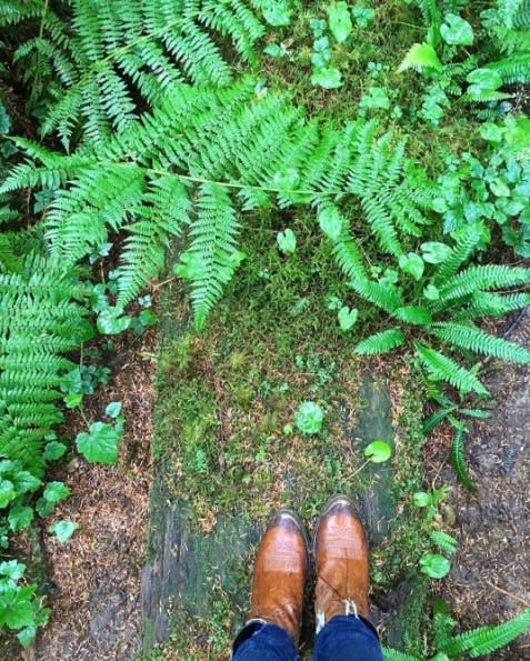 Reese is a bit of a social butterfly, so of course she wanted to hear from her followers about their adventures. “That first step into nature,” she wrote. “Who else is out there hiking and exploring the world!?” (Photo: Instagram) 