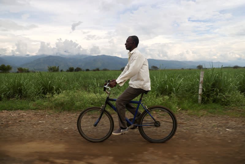 Otoniel Candelo, de 64 años, presidente de la junta de acción comunal de la población afrocolombiana de su comunidad, monta su bicicleta en un cañaveral en El Tetillo, departamento del Cauca