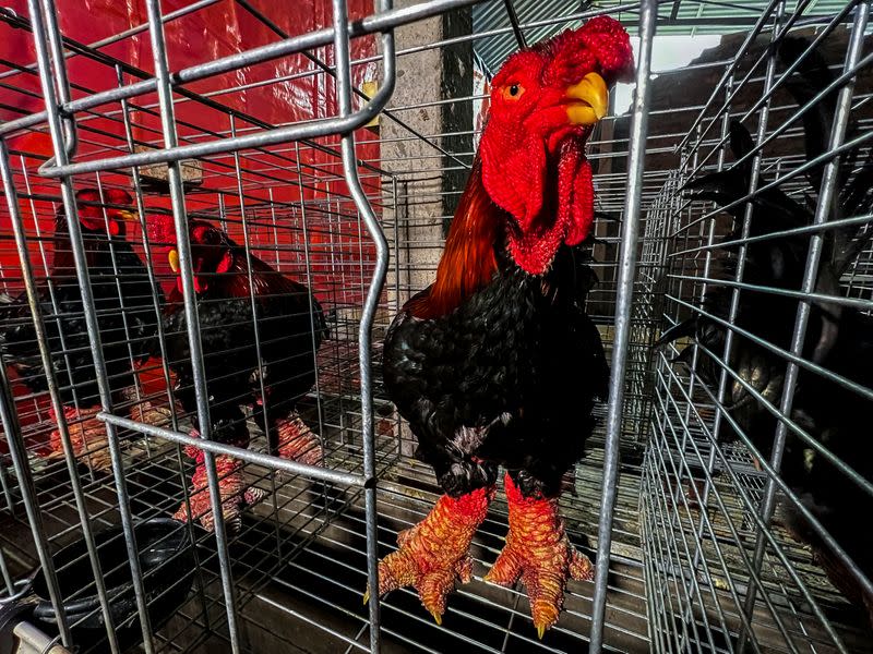 Meet Vietnam's 'dragon-feet' chicken, a Lunar New Year delicacy