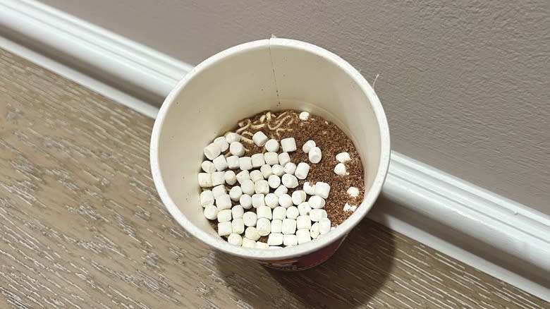 dry Cup Noodles Campfire S'mores