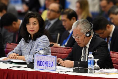 Indonesia's Trade Minister Enggartiasto Lukita attends the APEC Ministers Responsible For Trade meeting in Hanoi May 20, 2017. REUTERS/Hoang Dinh Nam/Pool