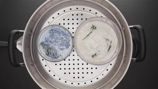 White and blue glutinous rice steaming in a steamer