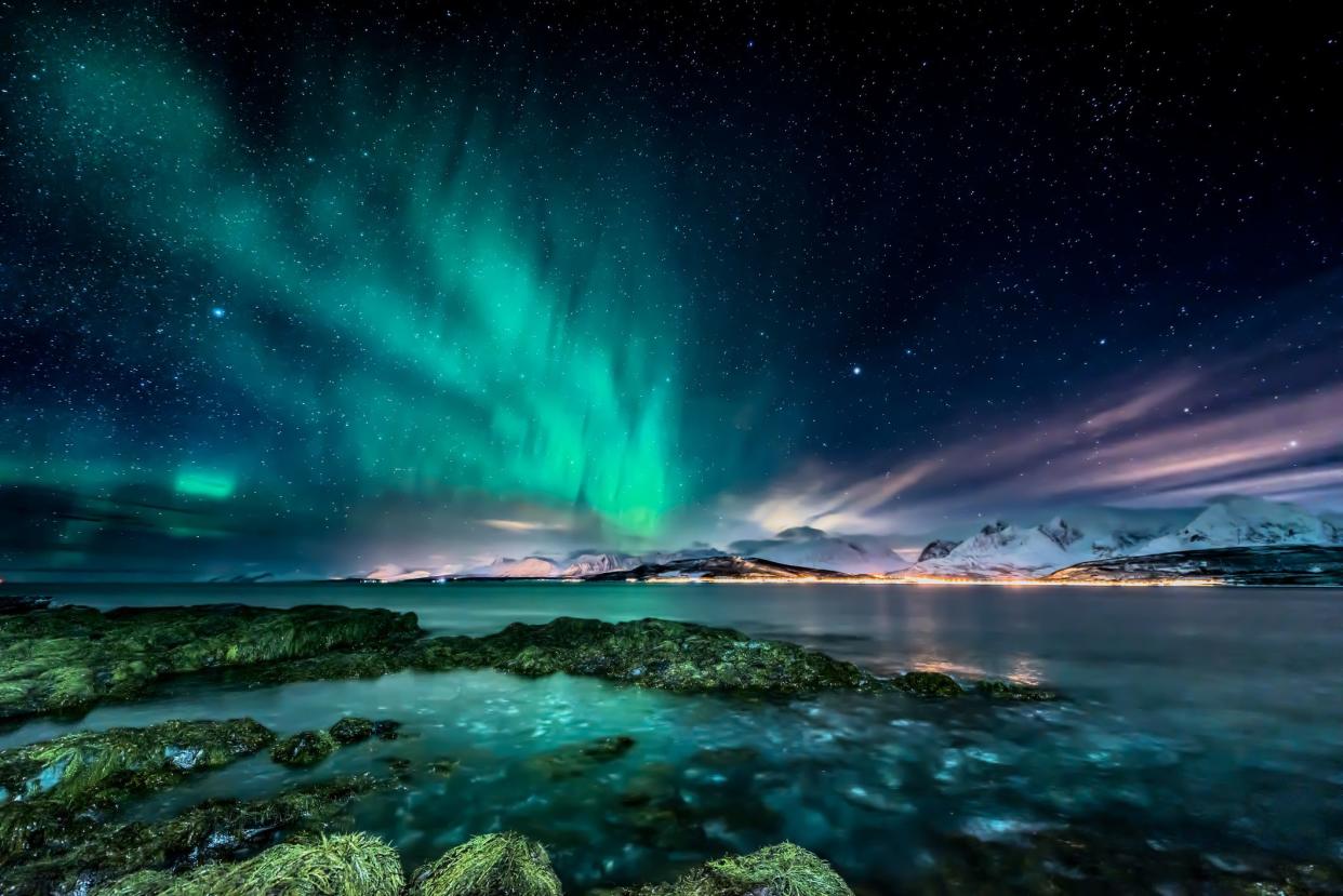 Amazing aurora borealis - northern lights - view from coast in Oldervik, near Tromso city -  north Norway