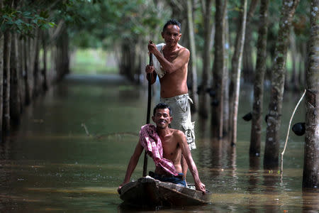 Phon Tongmak, a rubber tree farmer (back), rows a boat in floodwaters in his rubber plantation with his friend at Cha-uat district in Nakhon Si Thammarat Province, southern Thailand, January 18, 2017. REUTERS/Surapan Boonthanom