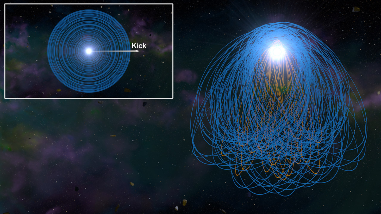  Planetesimal orbits around a white dwarf. Initially, every planetesimal has a circular, prograde orbit. The kick forms an eccentric debris disk which with prograde (blue) and retrograde orbits (orange). 