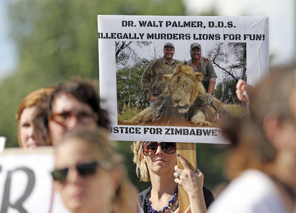 Protesters rally outside the River Bluff Dental clinic against the killing of a famous lion in Zimbabwe, in Bloomington, Minnesota