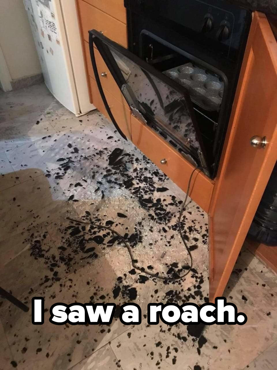 smashed oven with the caption i saw a roach