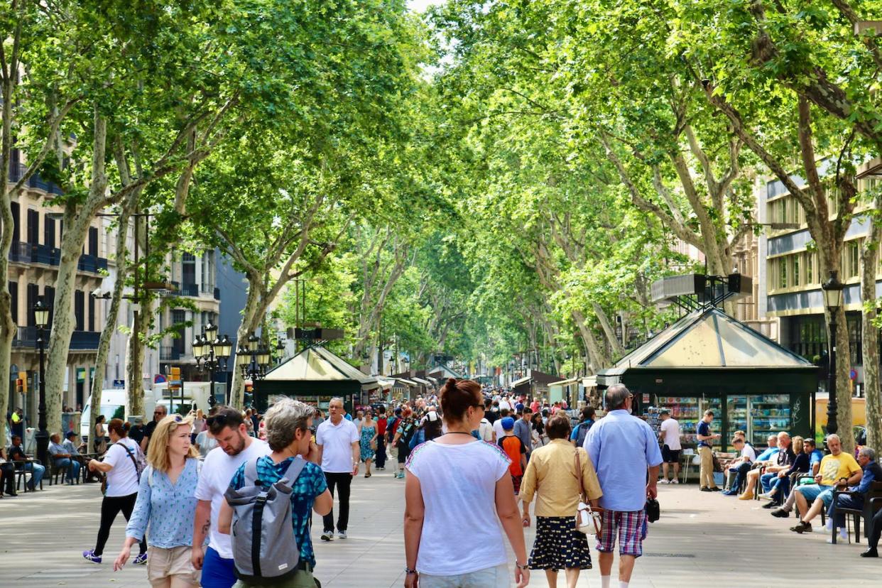 Los árboles proporcionan un enfriamiento que puede reducir las altas temperaturas en las ciudades. <a href="https://unsplash.com/photos/z96i6JomMdQ" rel="nofollow noopener" target="_blank" data-ylk="slk:Jorge Fernández Salas / Unsplash;elm:context_link;itc:0;sec:content-canvas" class="link ">Jorge Fernández Salas / Unsplash</a>