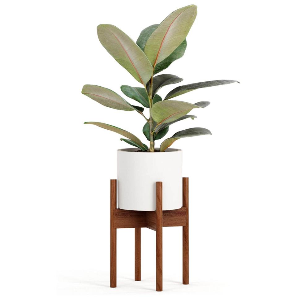 1) Fox & Fern Plant Stand