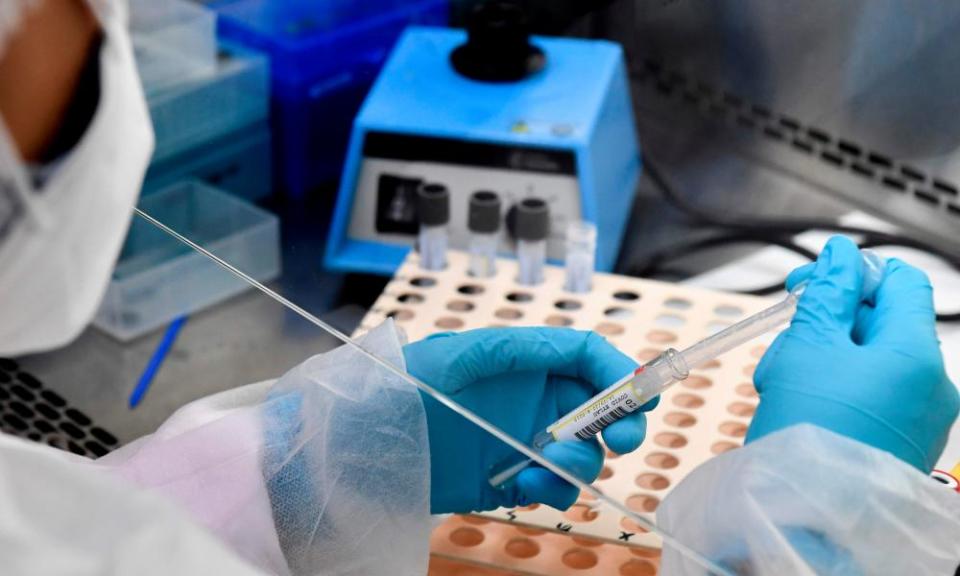 A lab technician prepares samples for PCR tests to screen for Covid-19