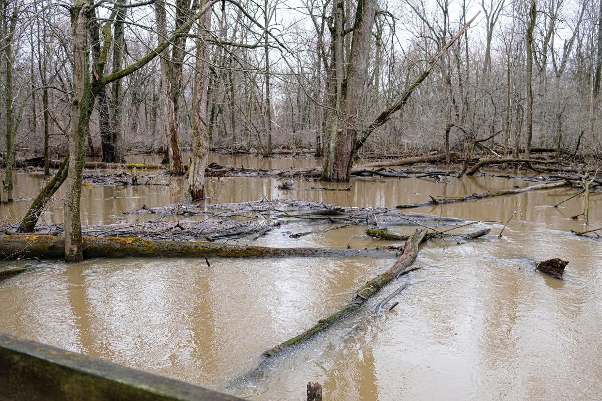 The water in Sycamore Creek in Scott Woods Park is well over its banks Saturday, April 1, 2023.