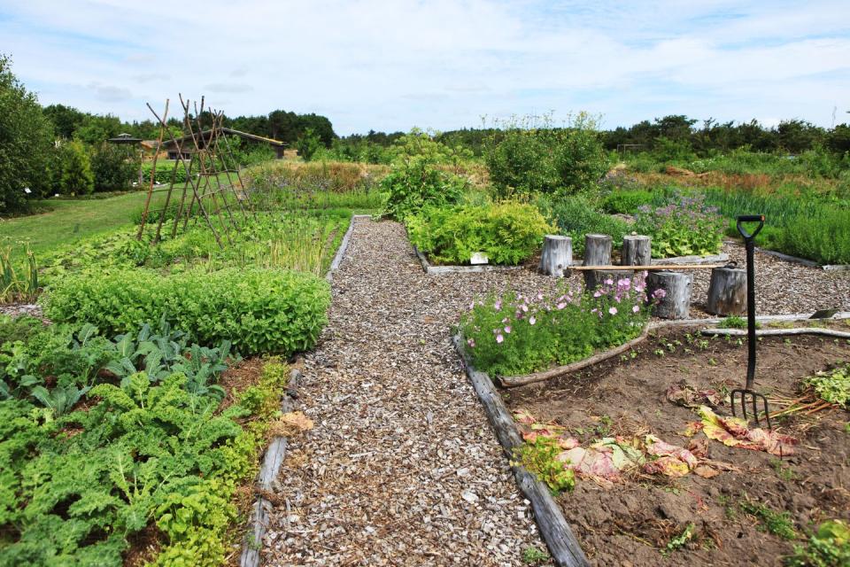 Large rural organic garden with vegetables and flowers