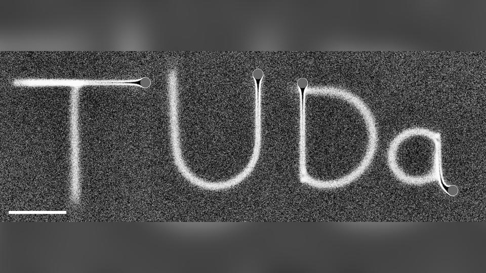 Initials of the Technical University of Darmstadt written in a BD simulation with vIEX = 12 µm s−1.