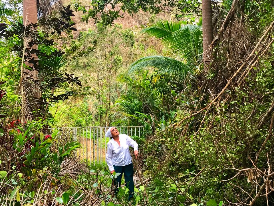 <p>Mercedes Mercado surveys the damage from Hurricane Maria to her farm in Hatillo, Puerto Rico. (Photo: Caitlin Dickson/Yahoo News) </p>