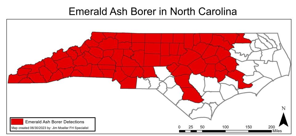 The emerald ash borer has spread rapidly in North Carolina since first being found here in 2013.