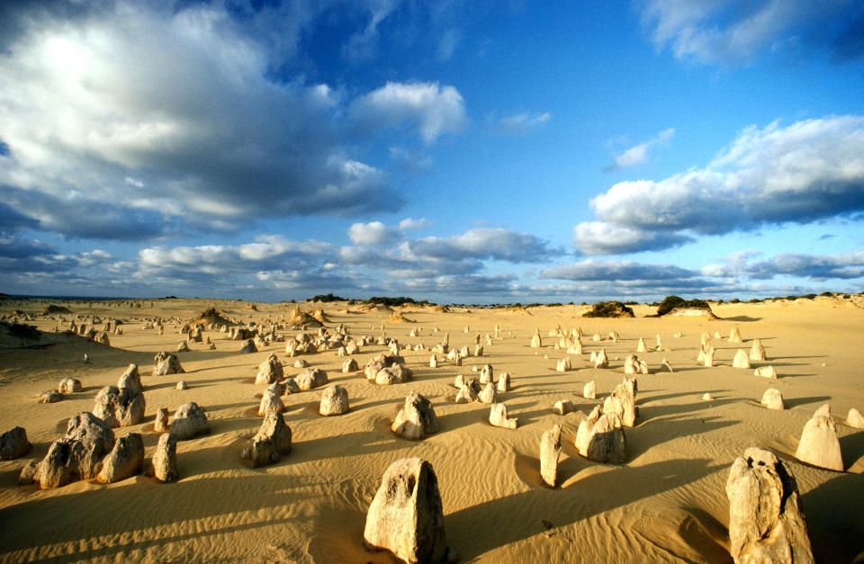 <b>Peculiar pinnacles, Nambung National Park, Australie-Occidentale</b><br> Ces étonnantes structures calcaires de cinq mètres de haut ont été formées il y a environ 25 000 à 30 000 ans, lorsque la mer s’est retirée en laissant des dépôts de coquillages. Au fil du temps, des vents côtiers ont poussé le sable et permis à ces piliers d’être exposés. <br> (Photo: Jean Paul Ferrero/Ardea/Caters News)