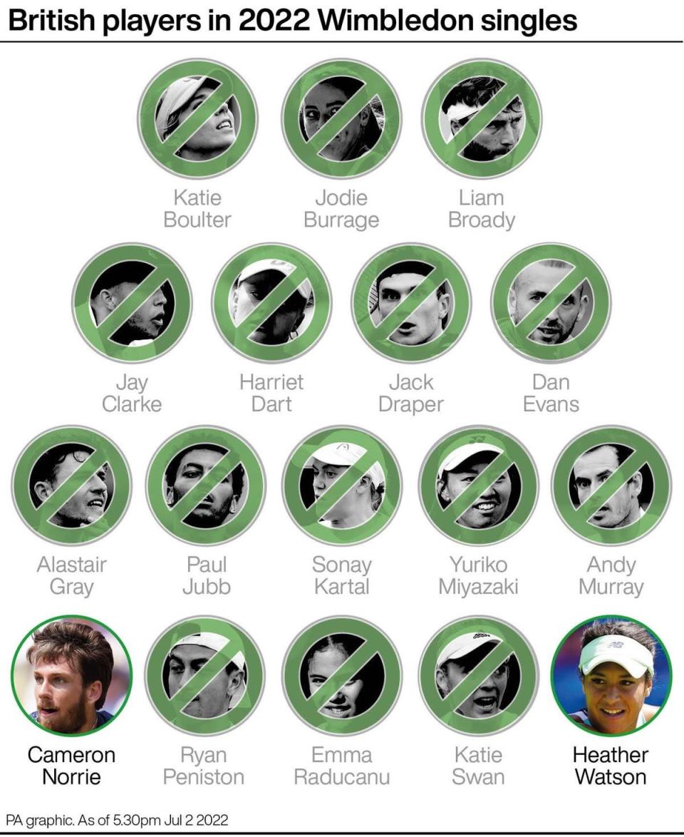 British players in 2022 Wimbledon singles (PA Graphics) (PA Graphics)