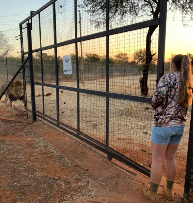 Swane van Wyke is seen standing at the entrance of a lion enclosure. Source: Swane van Wyke/Facebook