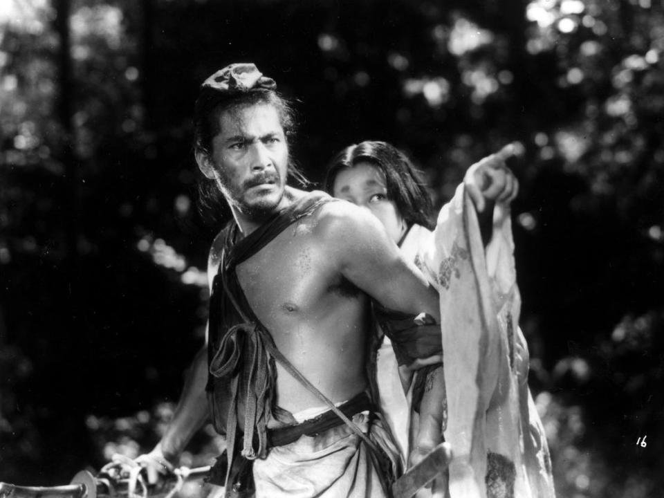 Rashomon Criterion