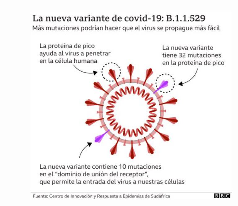 La nueva variante Ómicron