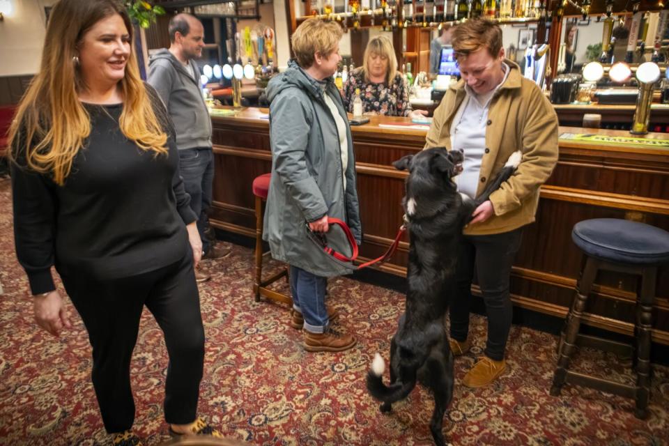 A dog on its hind legs puts its front paws up on a person standing next to a bar