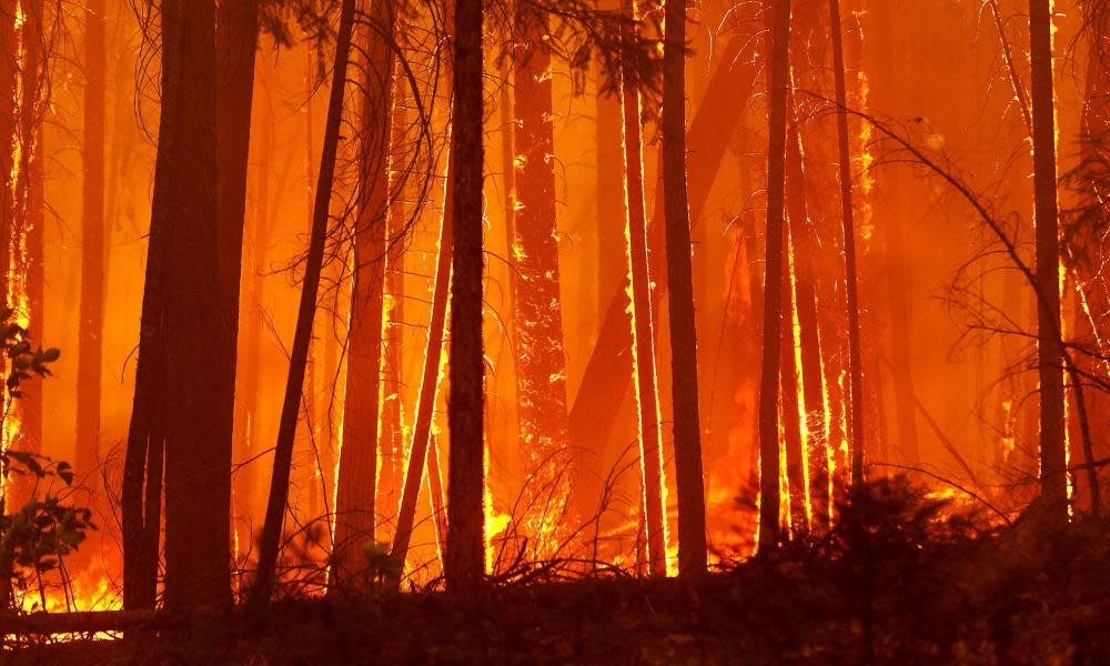 <span>Photograph: Noah Berger/EPA</span>