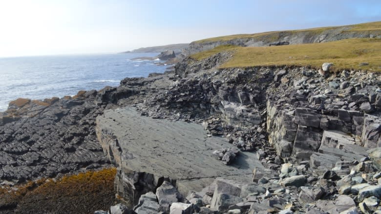 Locals say they're being overlooked for jobs at Mistaken Point site