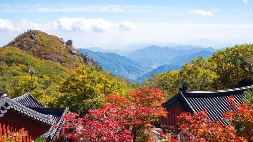 Mountain Jiri Scenic Autumn Day Tour from Busan. (Photo: Klook SG)