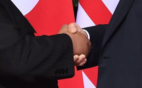 The handshake itself - Credit: AFP