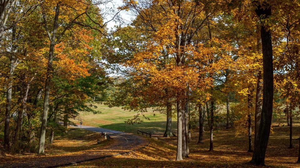 Caumsett State Park, Long Island