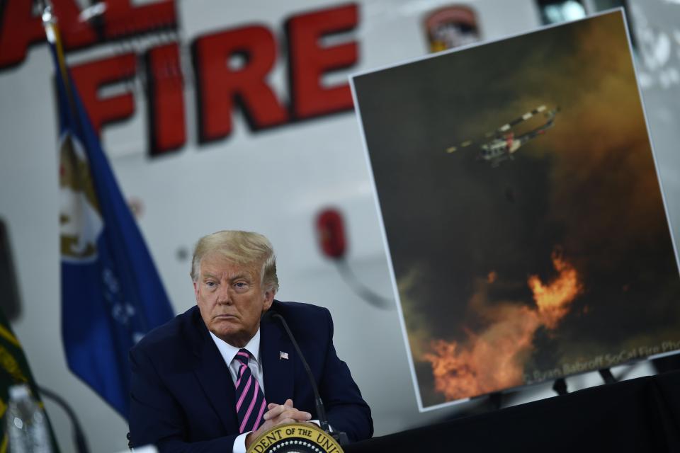 Donald Trump at a briefing on the Californian wildfires (AFP via Getty Images)